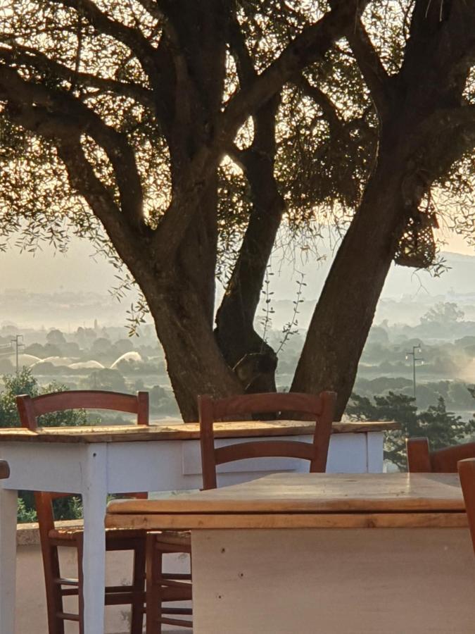 Bed and Breakfast Nacchinono Olbia Zewnętrze zdjęcie