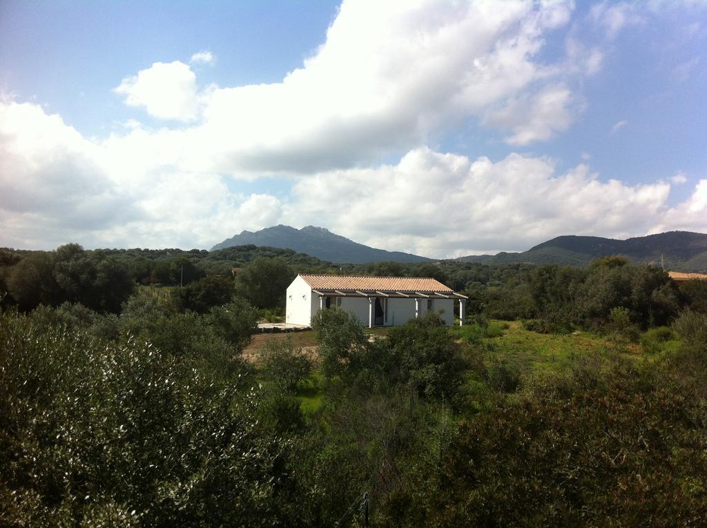 Bed and Breakfast Nacchinono Olbia Zewnętrze zdjęcie
