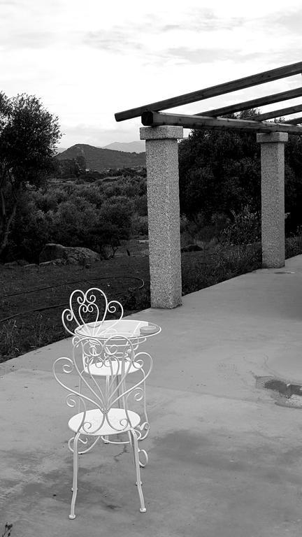Bed and Breakfast Nacchinono Olbia Zewnętrze zdjęcie
