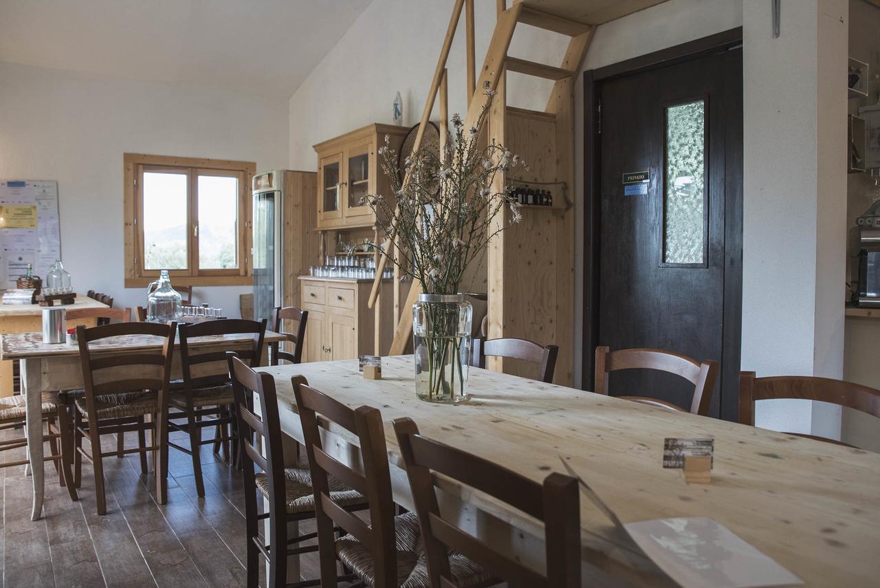 Bed and Breakfast Nacchinono Olbia Zewnętrze zdjęcie